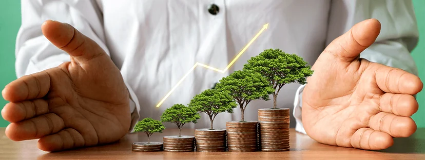 Fixed Deposit Header