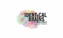 Identical Brains Studios Limited