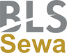 BLS E-Services Limited IPO
