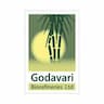 Godavari Biorefineries Limited IPO