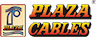 Plaza Wires Limited