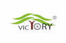 Victory Electric Vehicles IPO