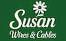 Susan Electricals India IPO