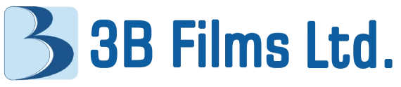 3B Films IPO