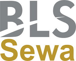 BLS E-Services Limited IPO