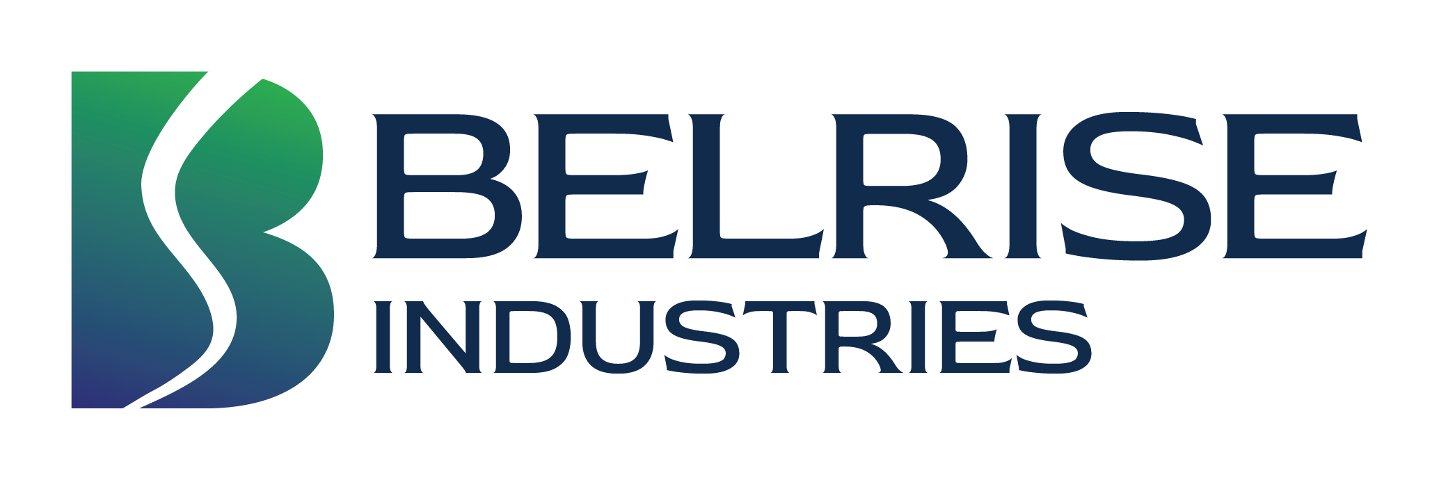 Belrise Industries IPO