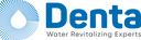 Denta Water And Infra Solutions Limited