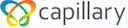 Capillary Technologies IPO