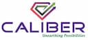 Caliber Mining IPO