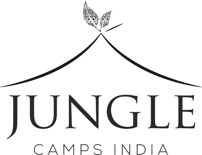 Jungle Camps India IPO