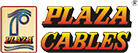 Plaza Wires Limited